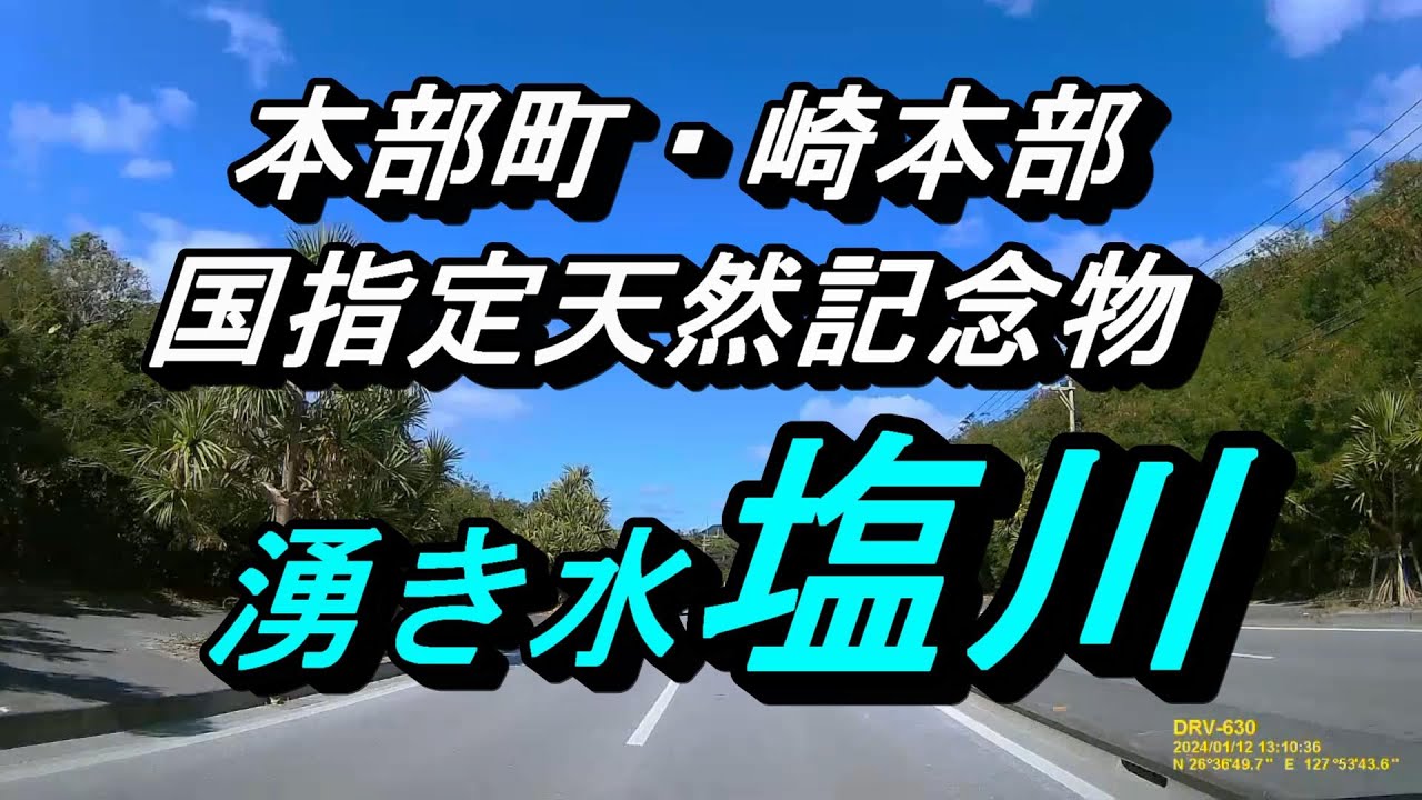 【沖縄の湧き水】本部の湧き水「塩川」国天然記念物の湧き水～澄んだ水が流れる小川は沖縄では希少～心癒される空間公園～