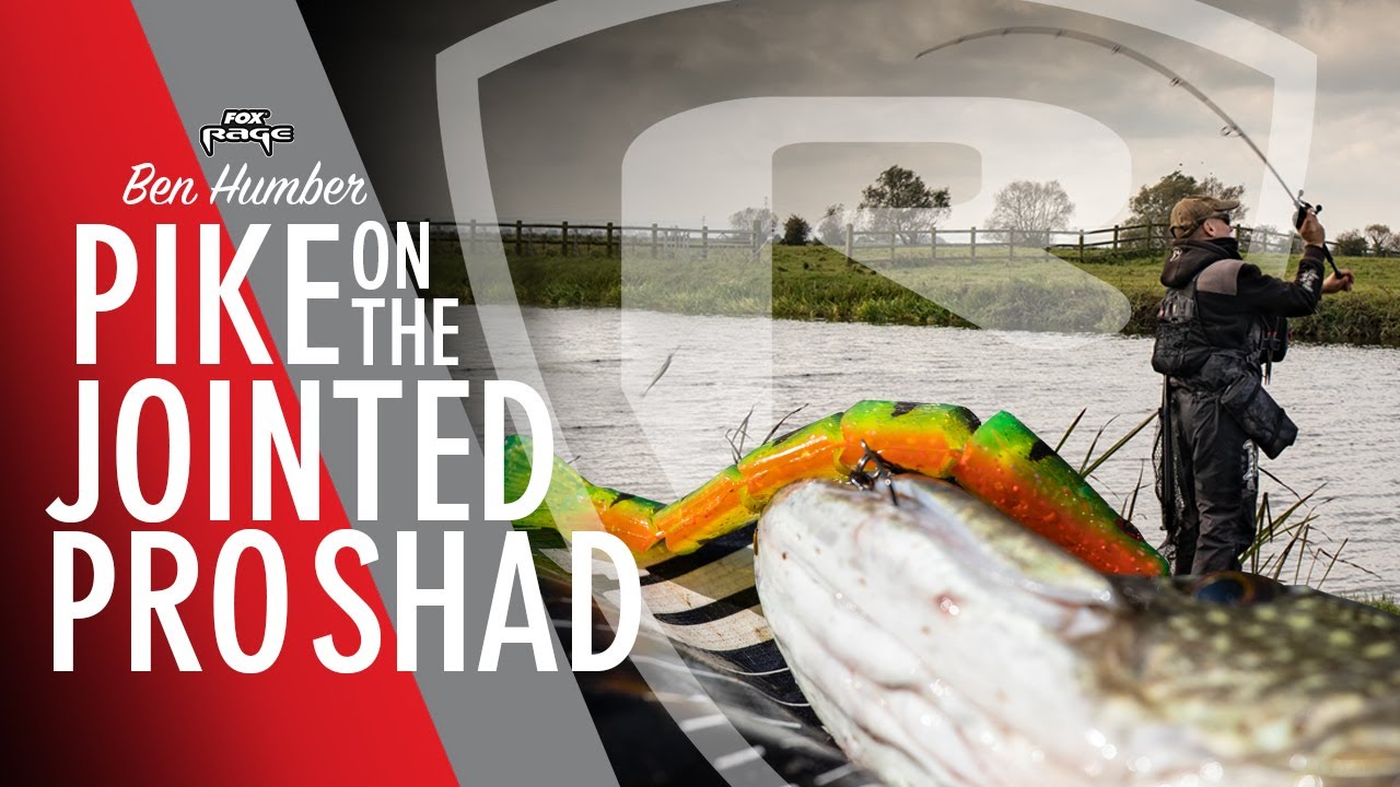 *** FOX RAGE TV *** CATCH PIKE USING THE LOADED JOINTED PRO SHAD