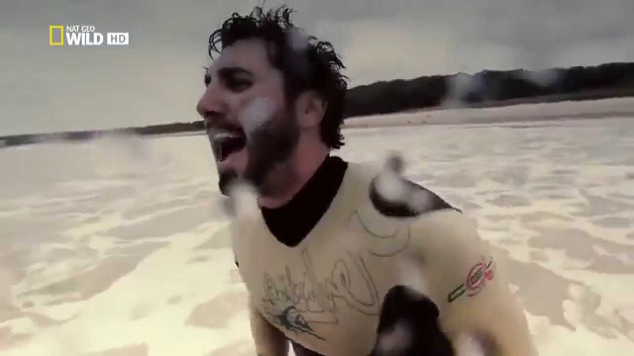 Australia's Deadliest Shark Top Documentary Films 720 HD