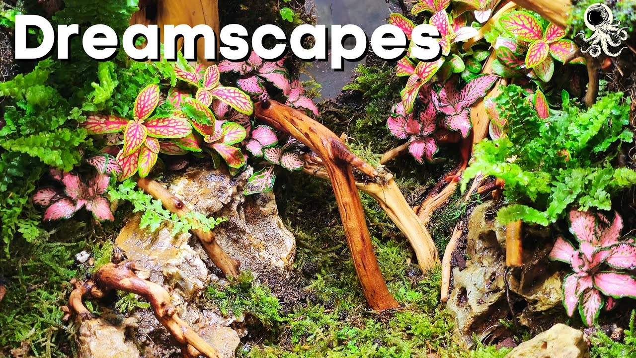Forest of The Fae (Fantasy Terrarium)