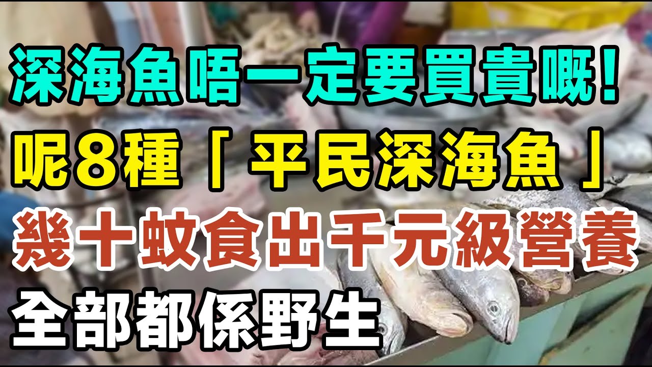 食深海魚唔一定要買貴嘅！呢8種平民深海魚，價錢實惠，幾十蚊就食出千元級嘅營養，仲要全部都係野生嘅添！好食唔貴，骨少肉嫩營養好。#深海魚 #平價海鮮 #營養 #Omega3 #牙帶魚 #鯖魚 #補腦