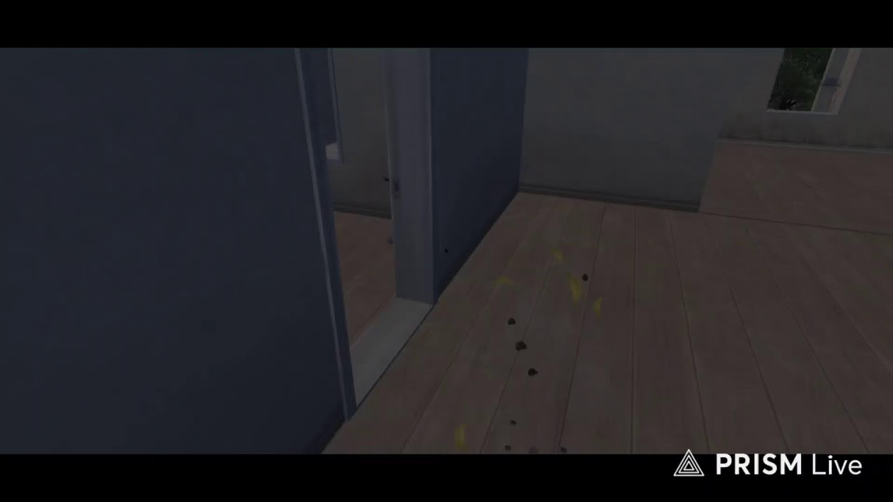 First Livestream! | Short Livestream