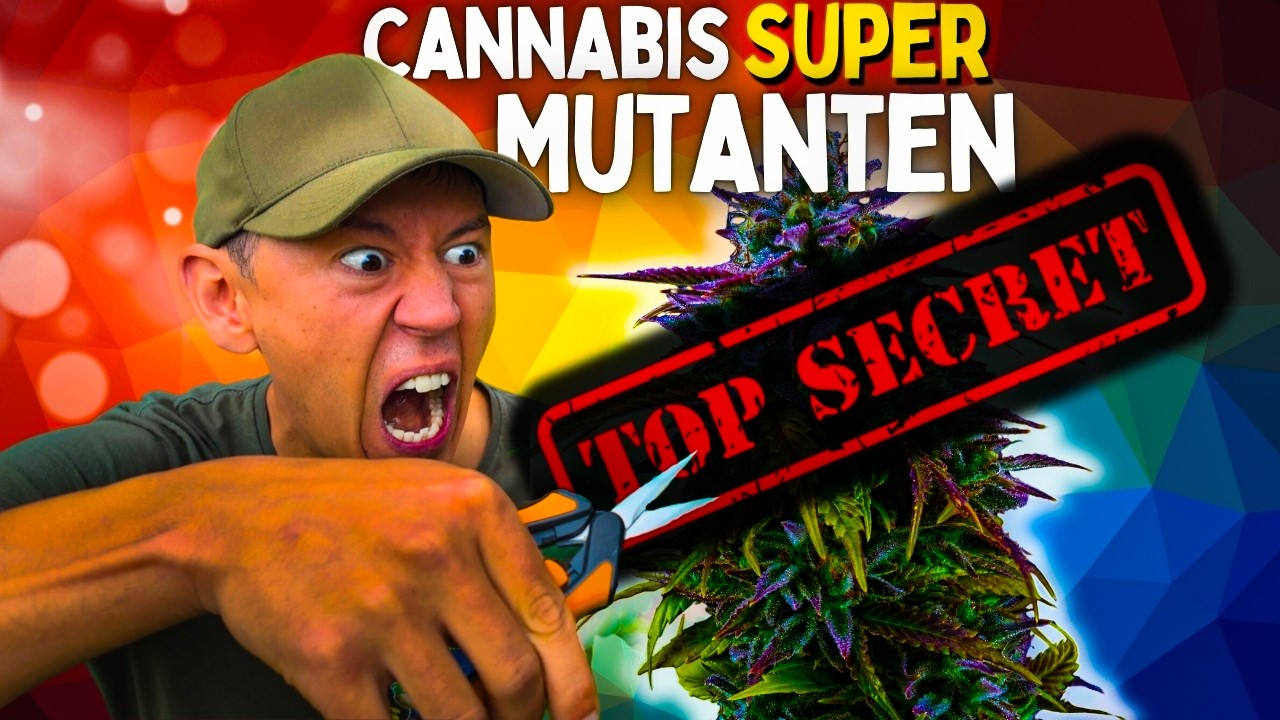 Hättest du das gedacht? 😱🥦 Seltene und krasse Pflanzen-Mutationen für deinen Anbau