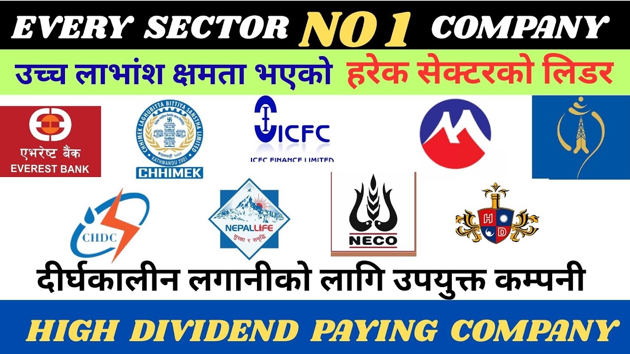 हरेक सेक्टरको अब्बल कम्पनी/ every sector top company/ उच्च लाभांश क्षमता भएको कम्पनी/blue chef stock