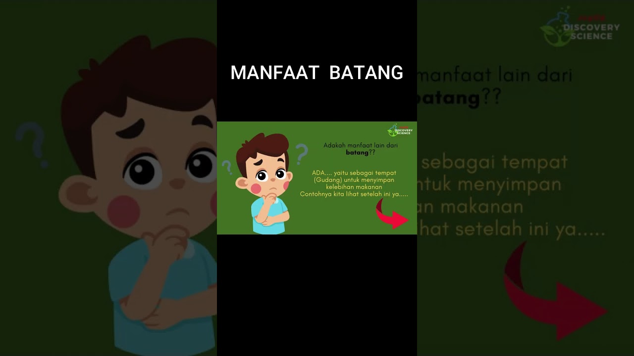 Manfaat Batang | Gudang Makanan