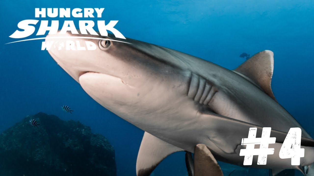 HIU BANTENG MENEROBOS GERBANG LAUT DALAM!! Hungry Shark World #4