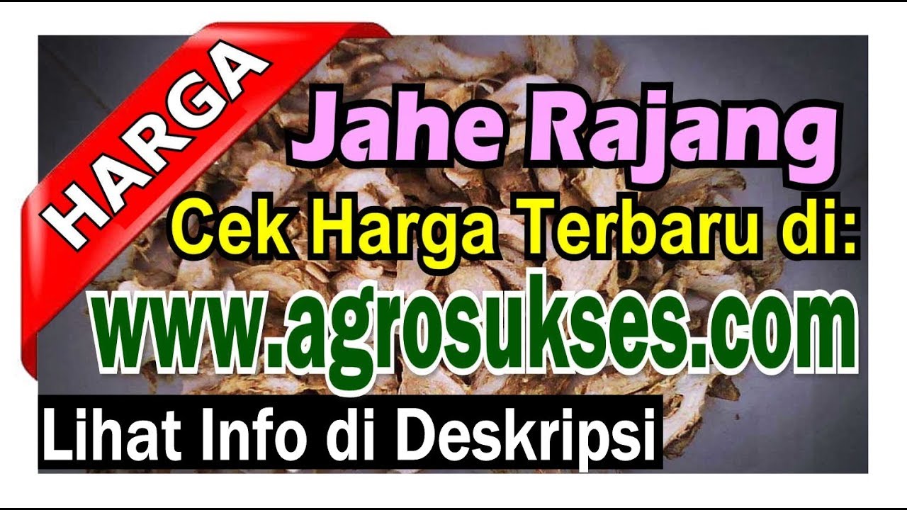|Update 2024| Pusat Informasi Terbaru Harga Jahe Rajangan RP, Penjual Pembeli