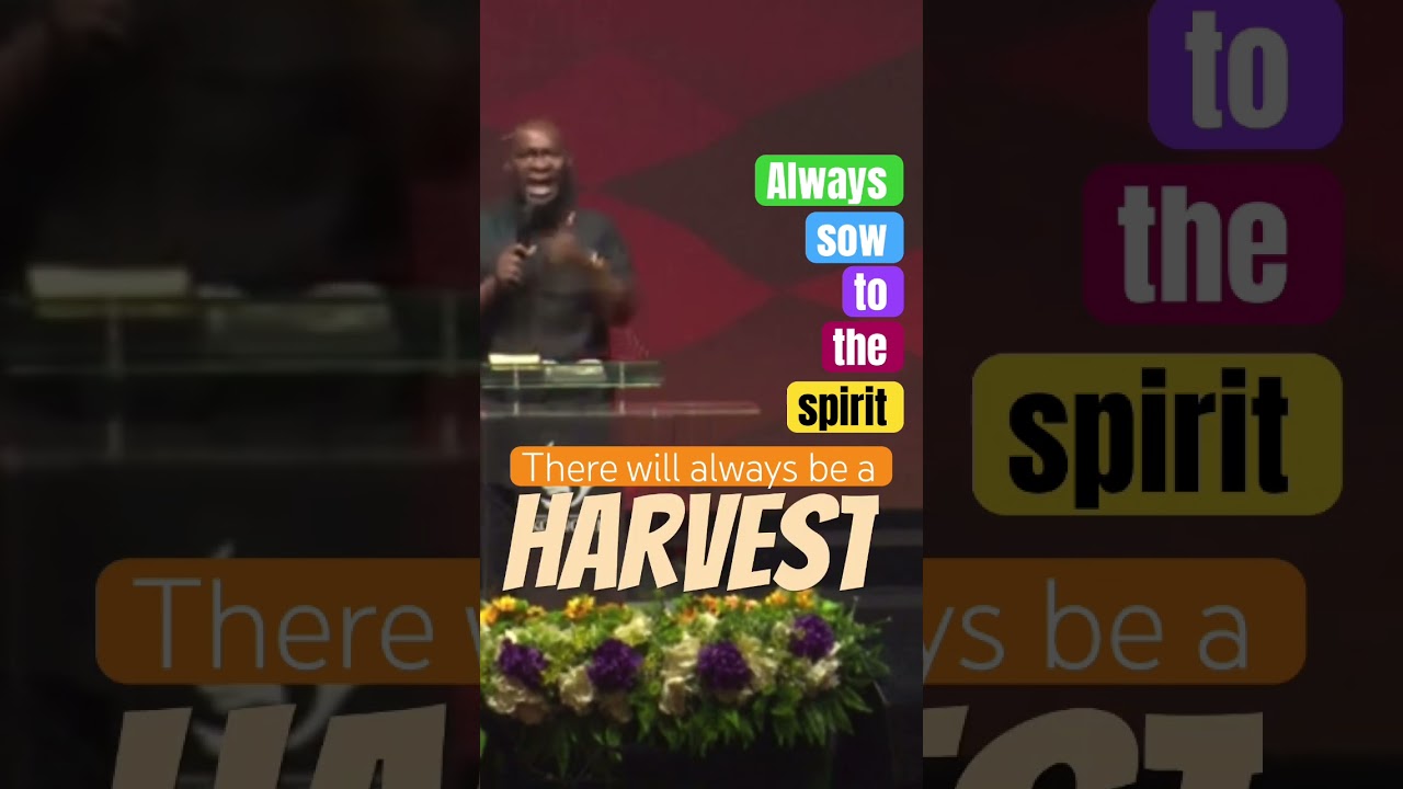 A harvest #apostlejoshuaselman #powerofgod #prayer #koinonia #harvest #sowing