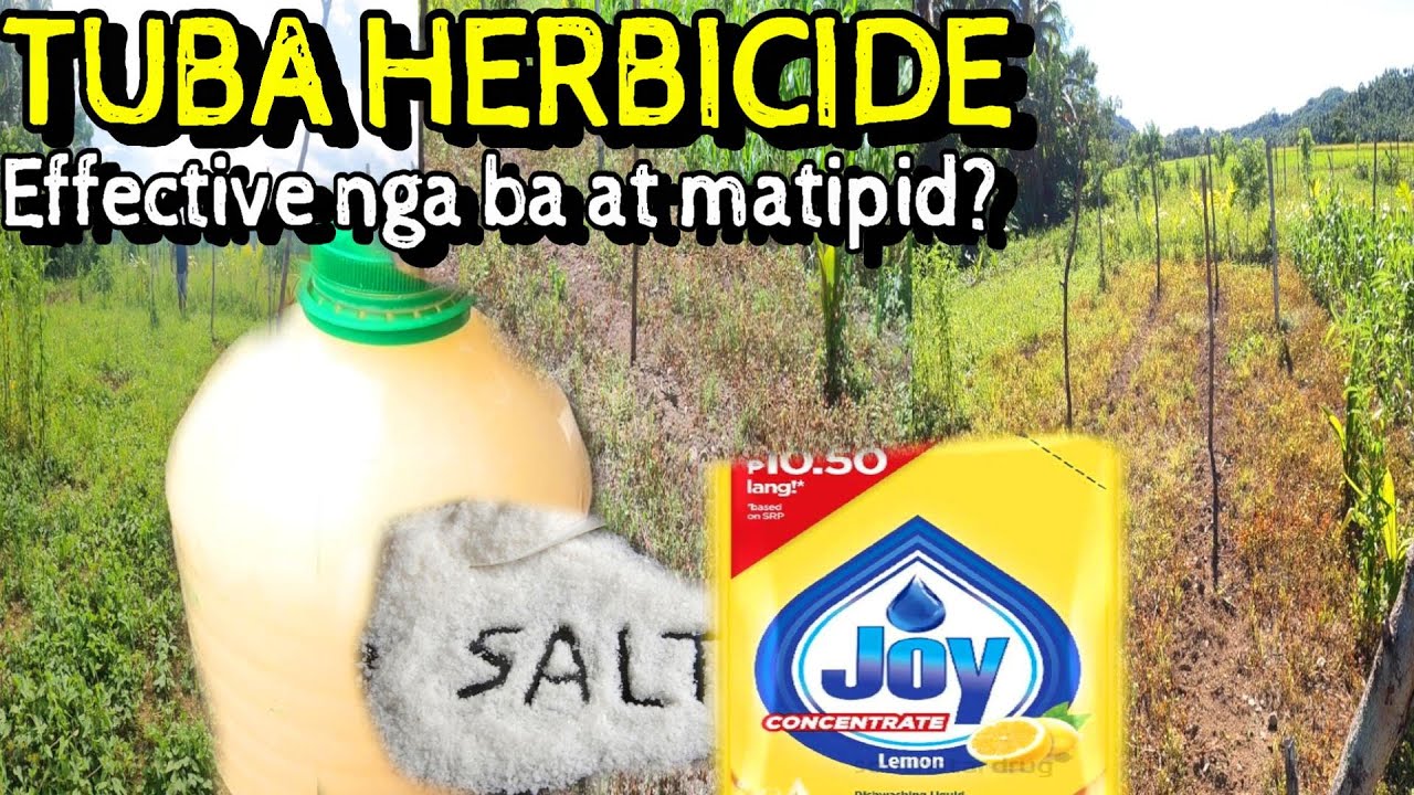 Part 3:Easy D.I.Y. HOME-MADE HERBICIDE/All Natural at Safe Gamitin na Pamatay Damo