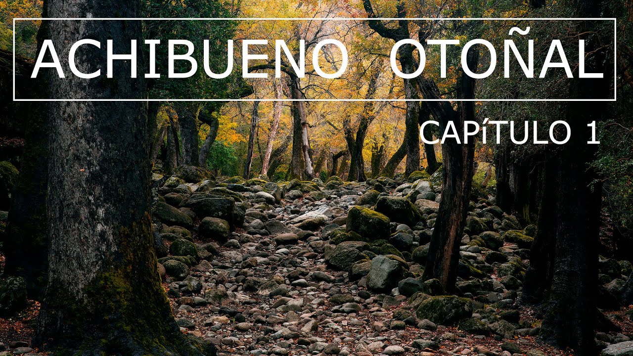 Achibueno otoñal capítulo 1
