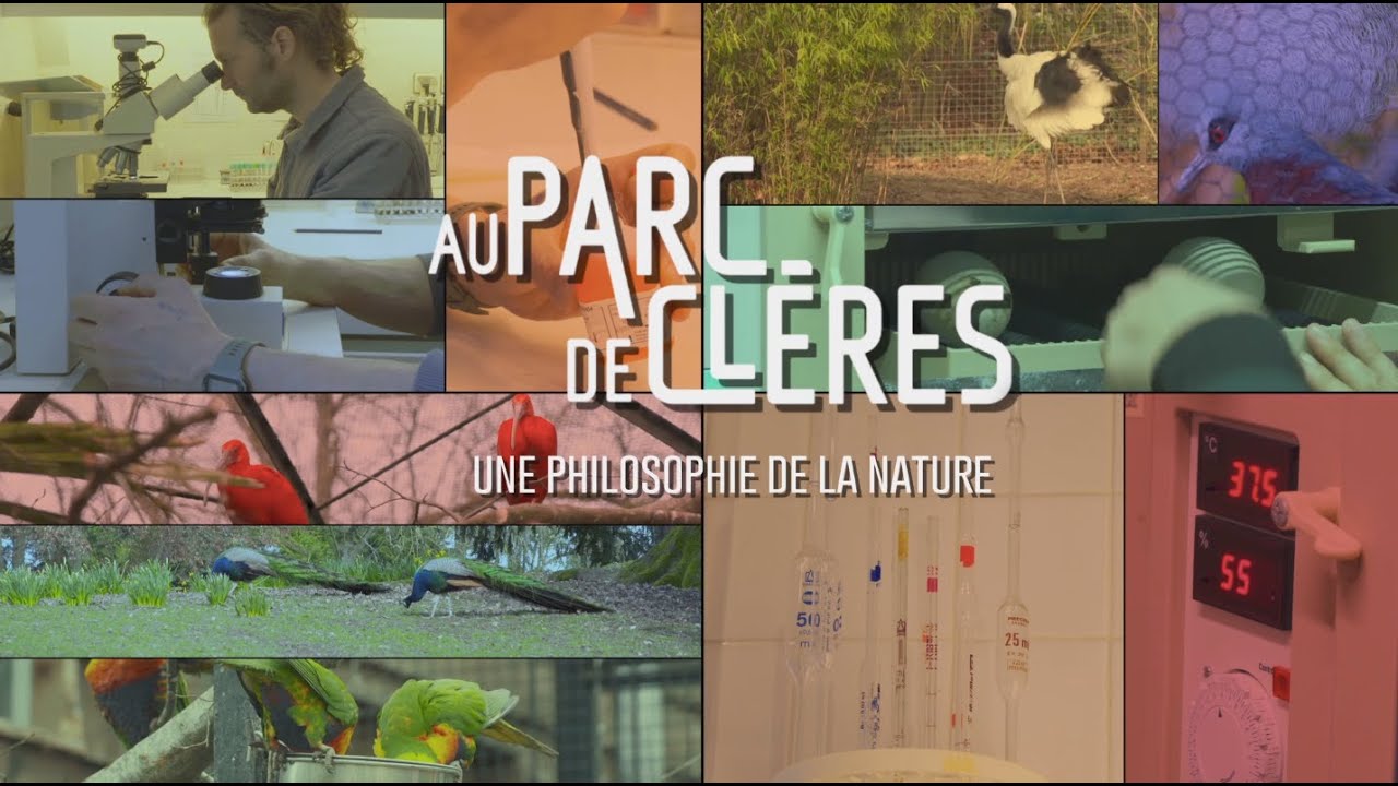 PCP 2023 AU PARC DE CLERES UNE PHILOSOPHIE DE LA NATURE