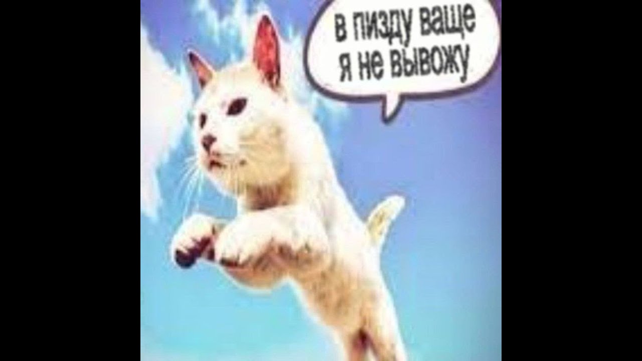 новогодний бред [union.rp]