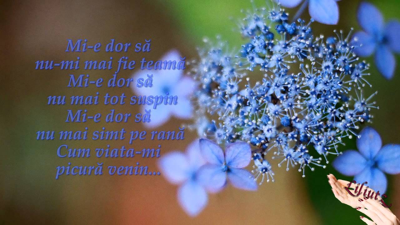 Mi-e dor ...