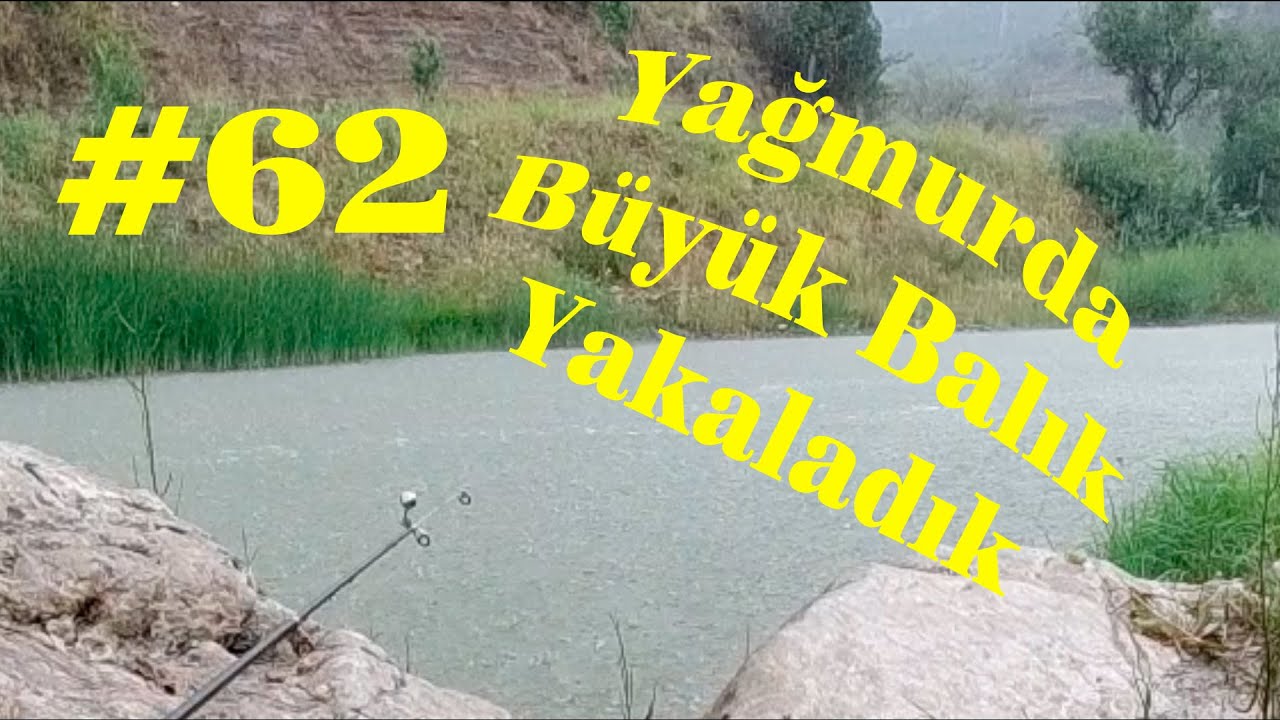 Большая рыбалка под дождем. Охота на большого карпа. Как ловить рыбу в реке на лютню.