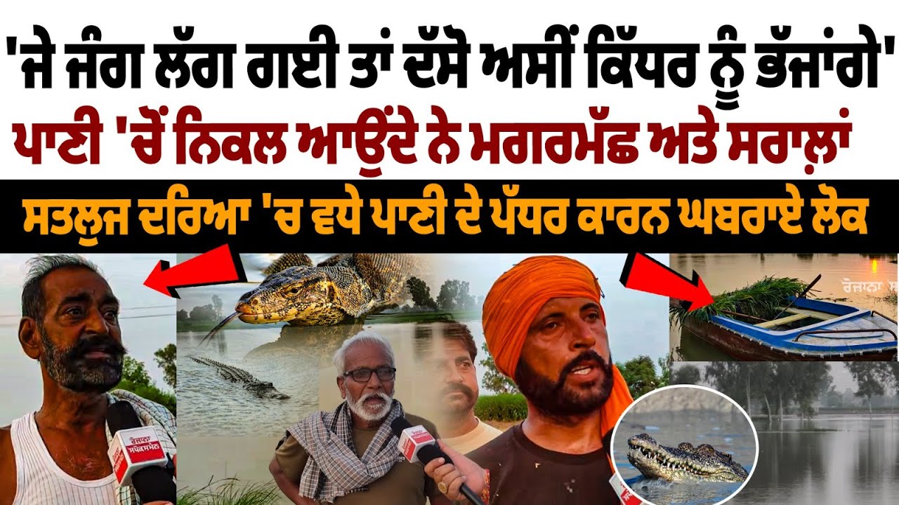 Jalalabad Flood Alert: ਜੇ ਜੰਗ ਲੱਗ ਗਈ ਤਾਂ ਦੱਸੋ ਅਸੀਂ ਕਿੱਧਰ ਨੂੰ ਭੱਜਾਂਗੇ, ਪਾਣੀ 'ਚੋਂ ਨਿਕਲ ਆਉਂਦੇ ਨੇ ਮਗਰਮੱਛ