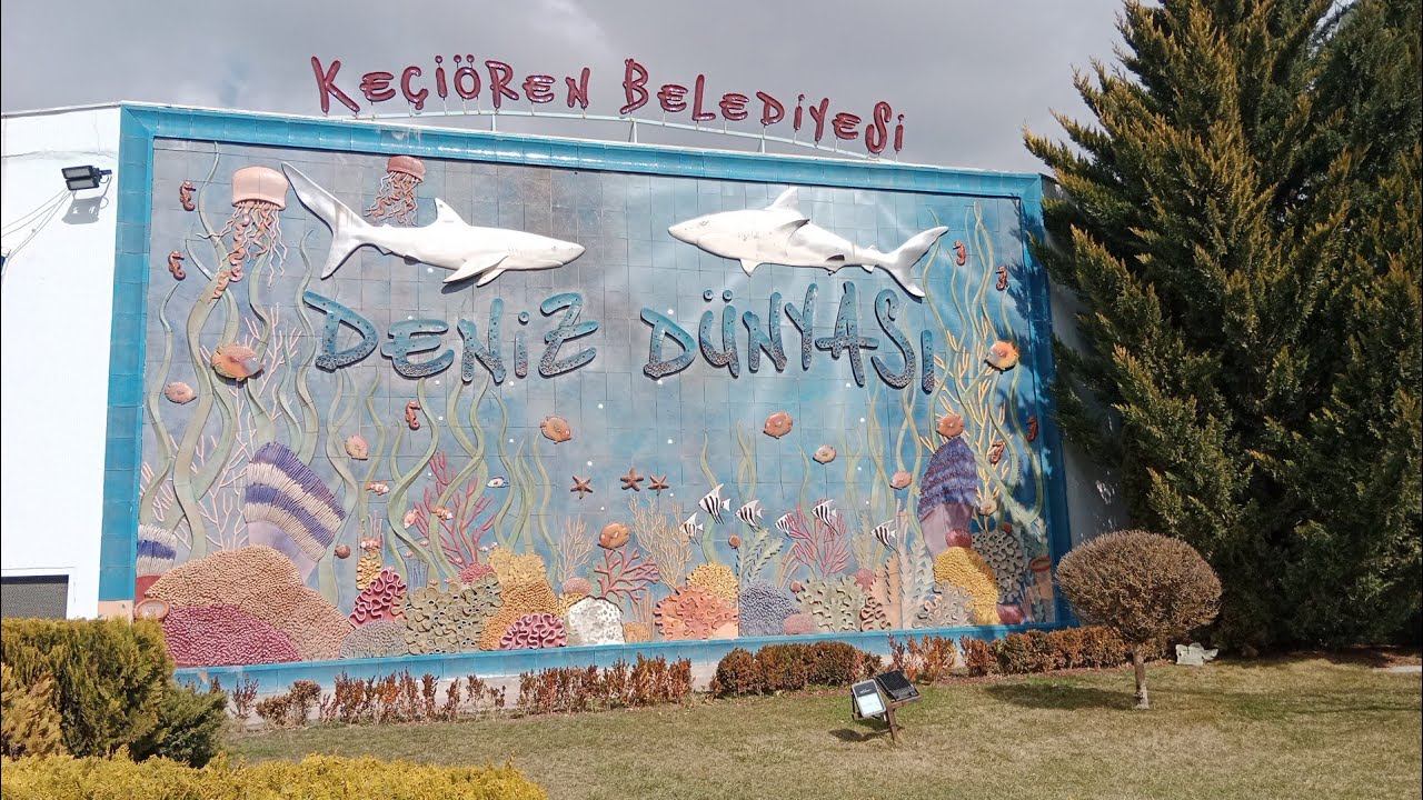 Deniz dünyası Ankara Keçiören akvaryum