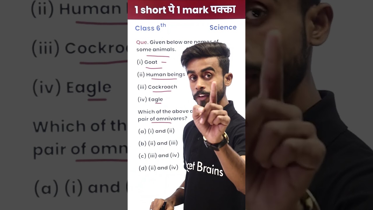 Which Animals Are Omnivores? - 1 Video 1 Mark पक्का in Exam (Class 6th) #shorts