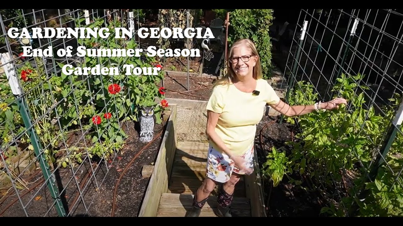 GARDENING IN GEORGIA AUGUST 31, 2025 GARDEN TOUR