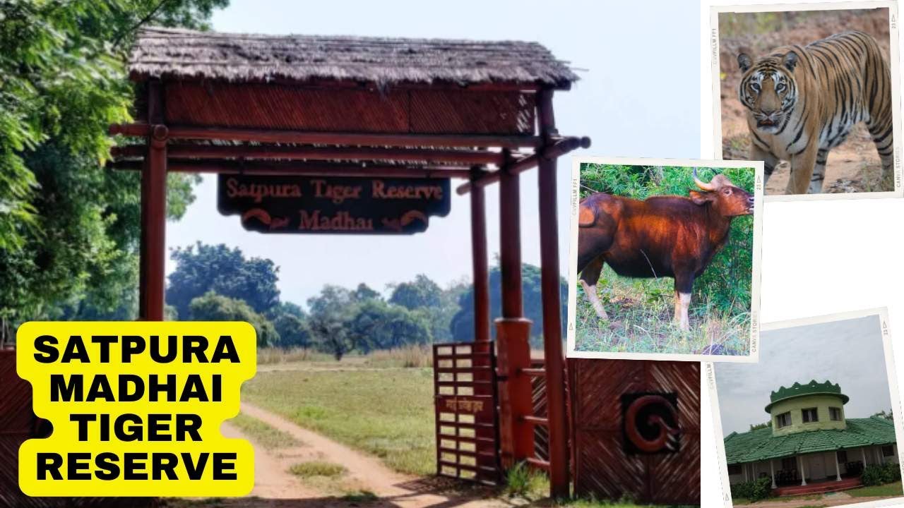 Satpura National Park | Madhai Tiger Reserve | Wildlife & Adventure in Madhya Pradesh