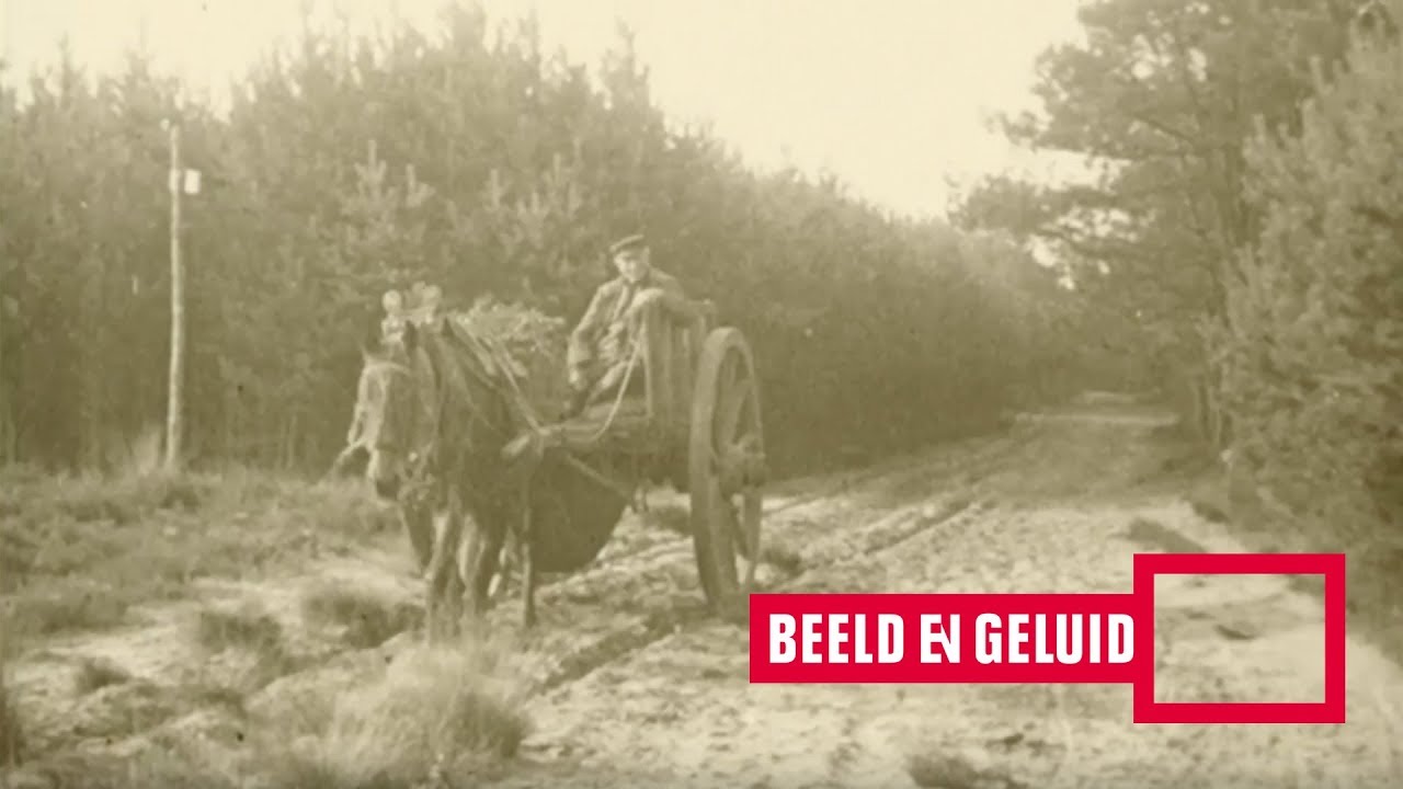 De bosschen en vennen van Oisterwijk (Noord-Brabant) (1917)
