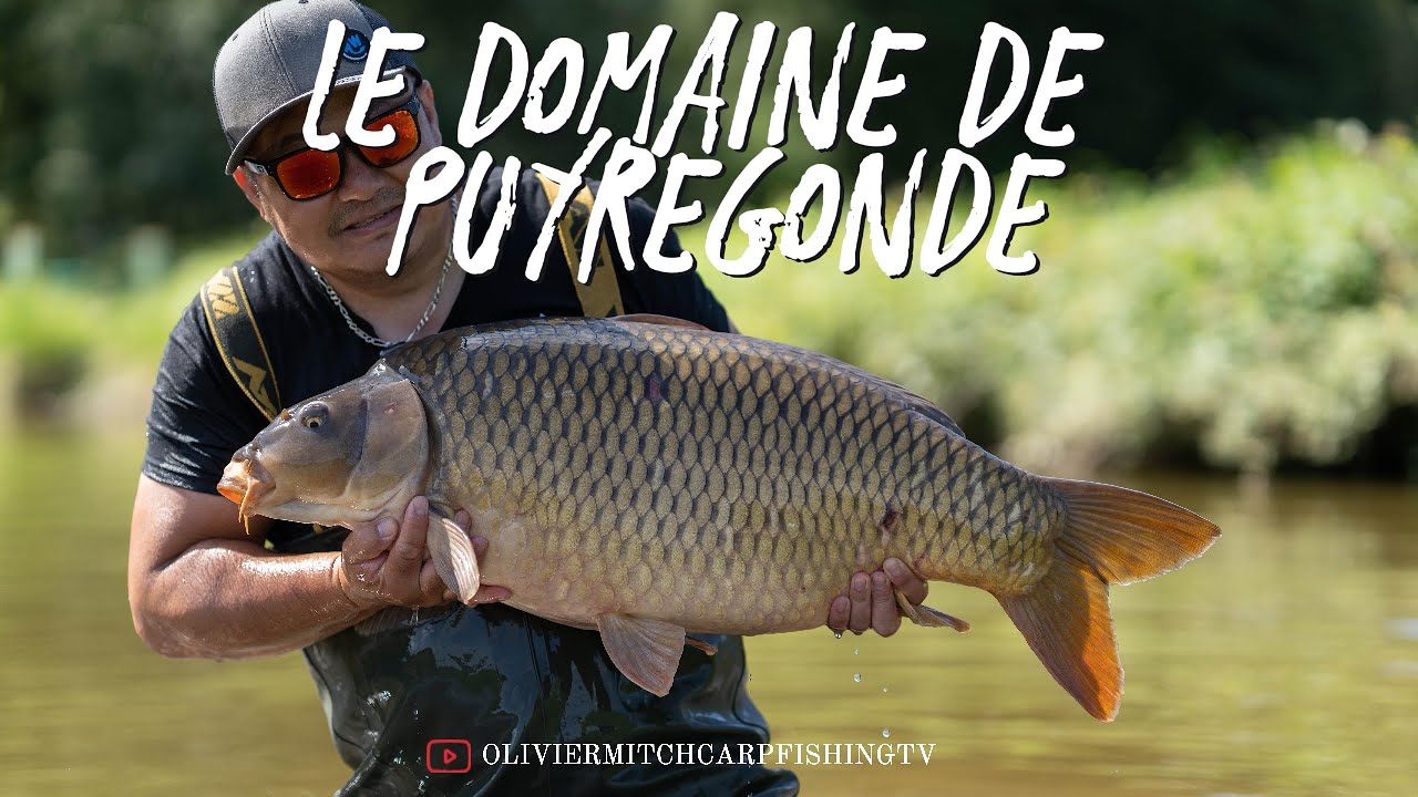 Session au Domaine de Puyregonde