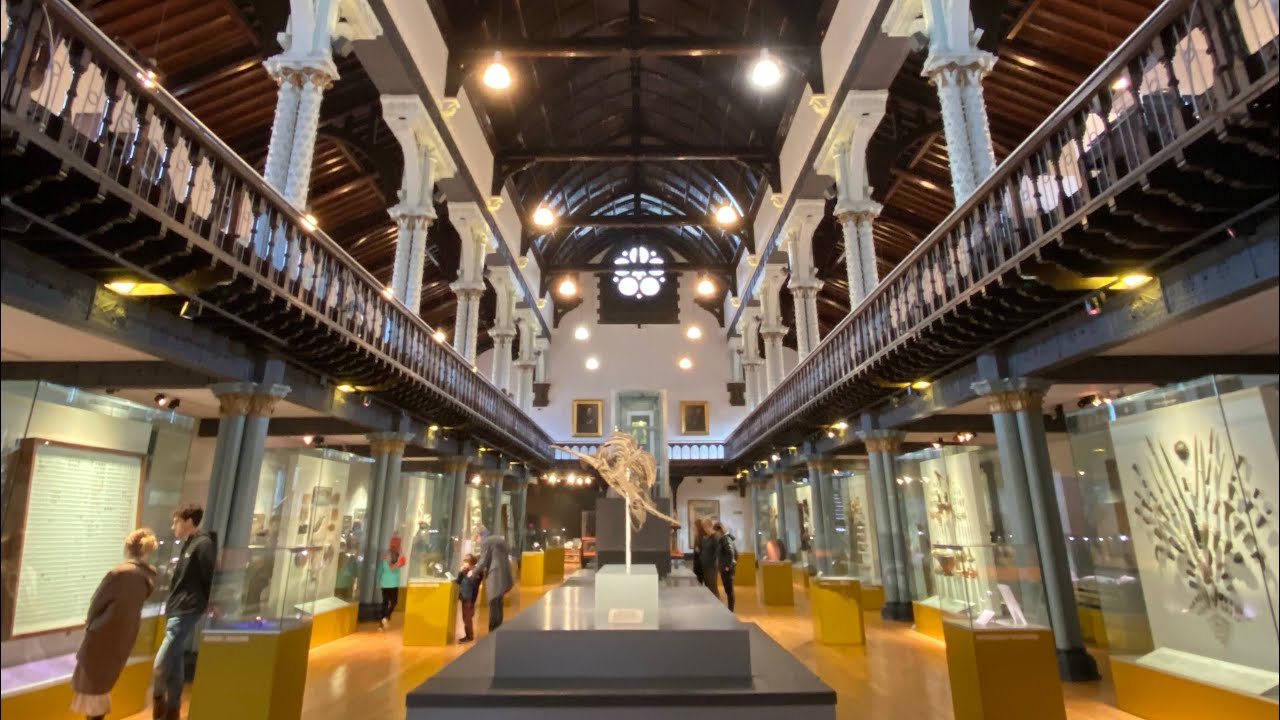 Hunterian Museum | Glasgow University | Scotland