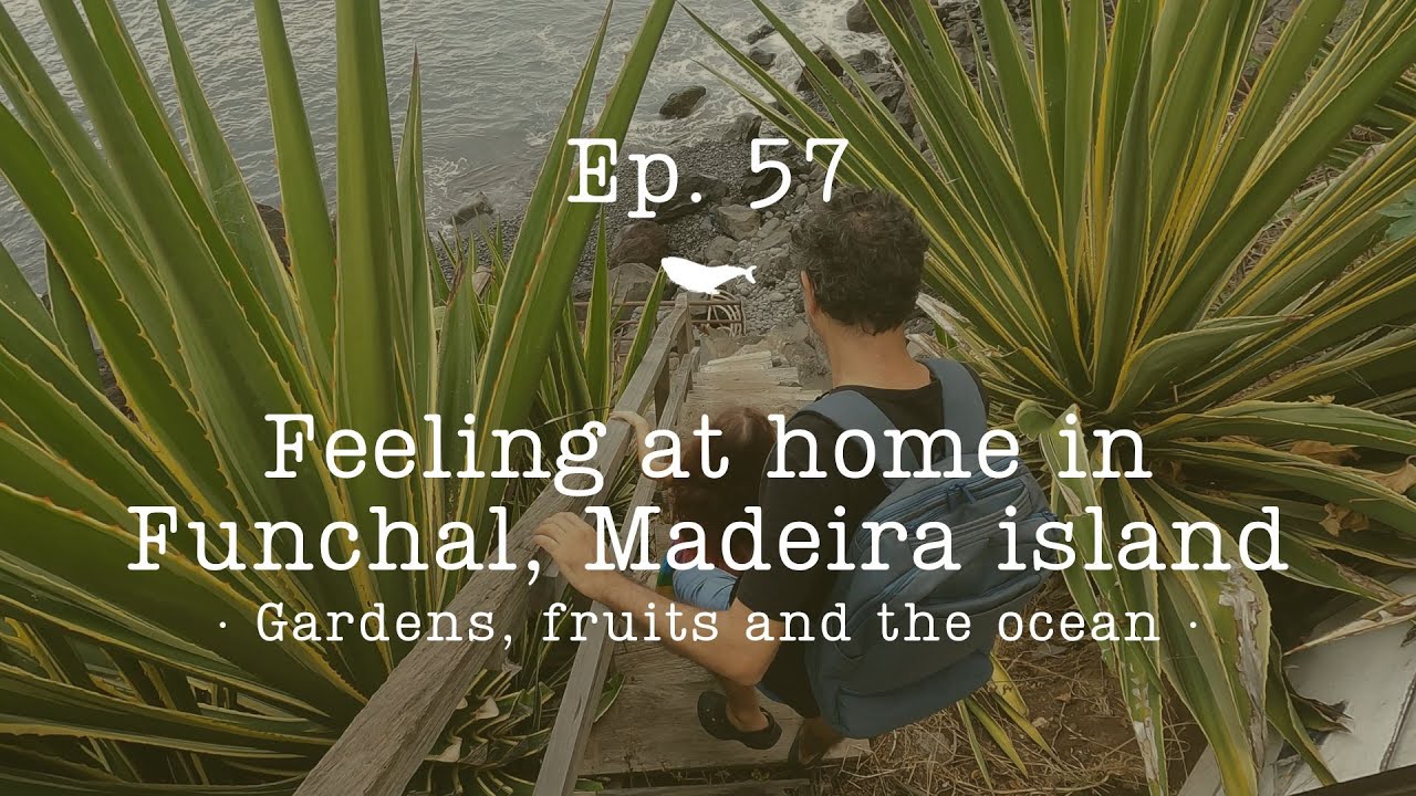 {Ep. 57} Feeling at home in Funchal, Madeira. Gardens, fruits and the ocean