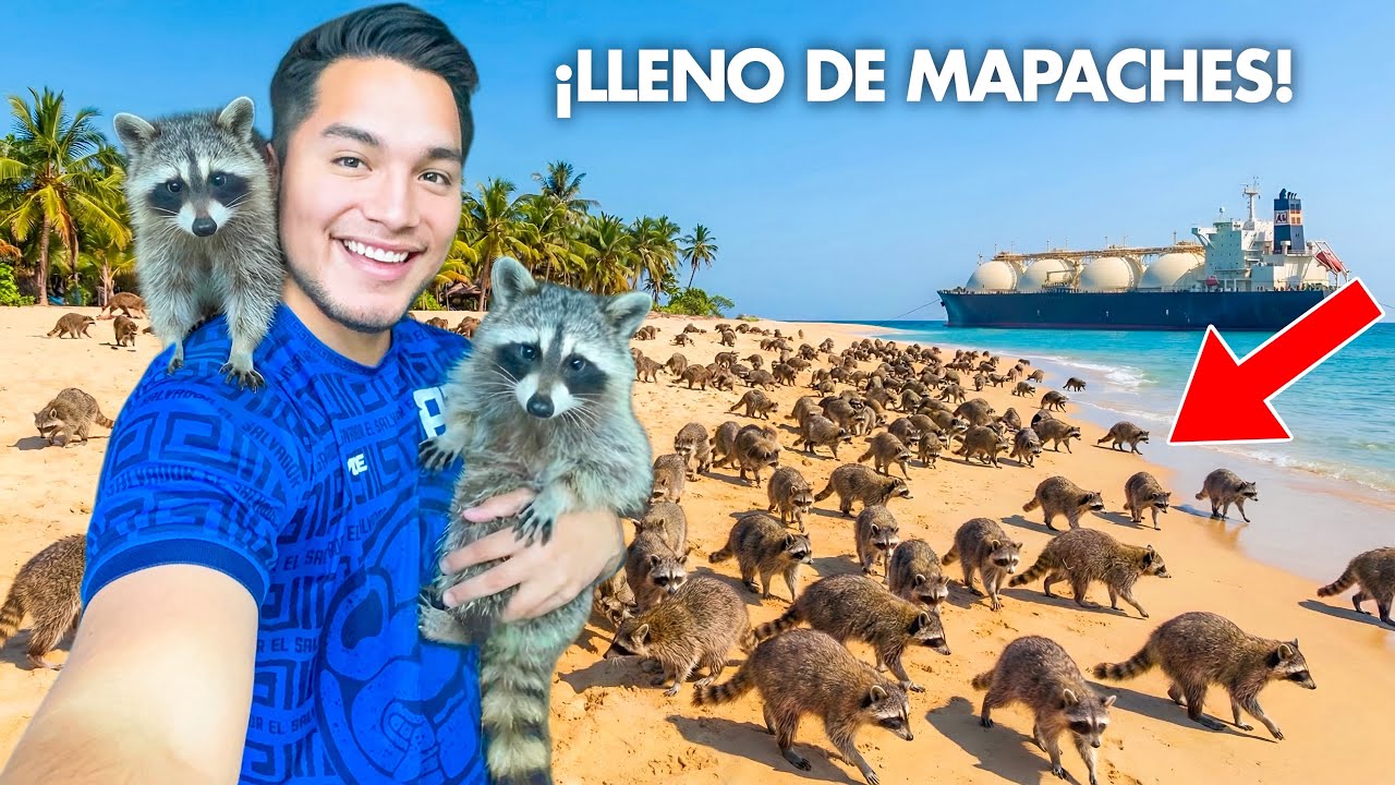 Visité la PLAYA en El Salvador que fue INVADIDA por MAPACHES 🇸🇻🦝