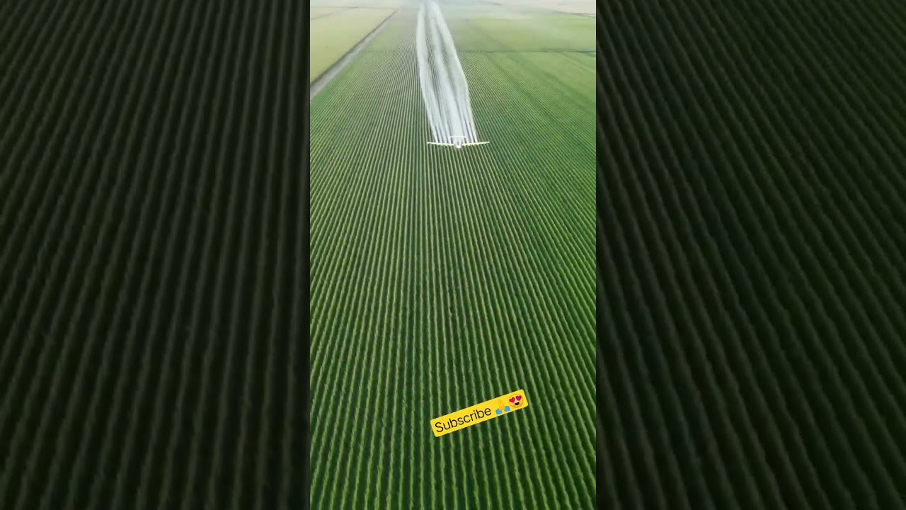 aeroplane sprey procedure,