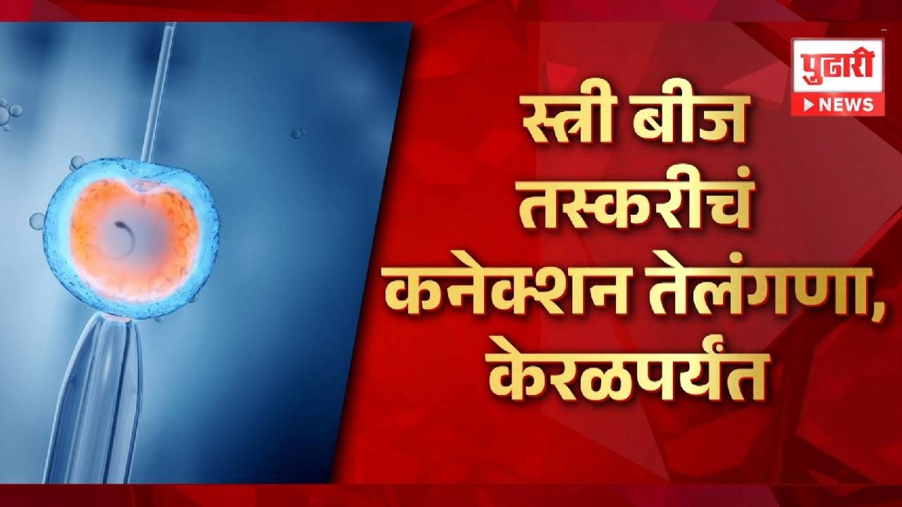 Pudhari News | स्त्री बीज तस्करीचं कनेक्शन तेलंंगणा, केरळपर्यंत special report