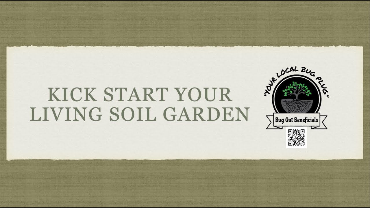 Kickstart Your Living Soil Garden  Easy  2024
