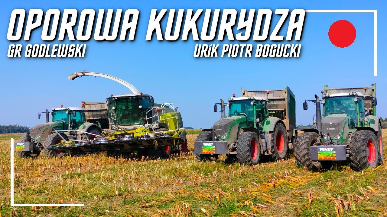 OPOROWA KUKURYDZA w GR Godlewski z URiK Piotr Bogucki /Agro Łuby/