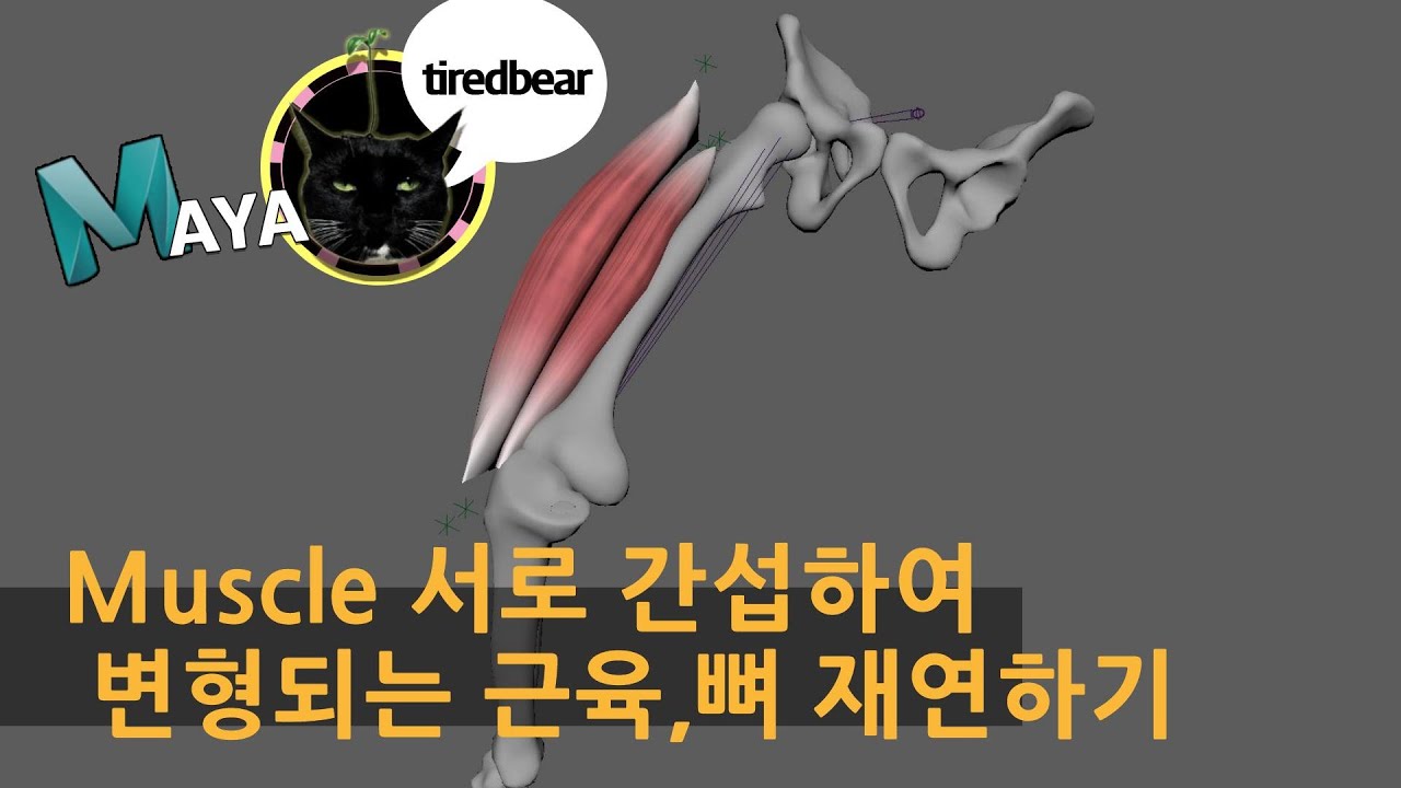 Maya Muscle 서로 간섭하여  변형되는 근육,뼈 재연하기