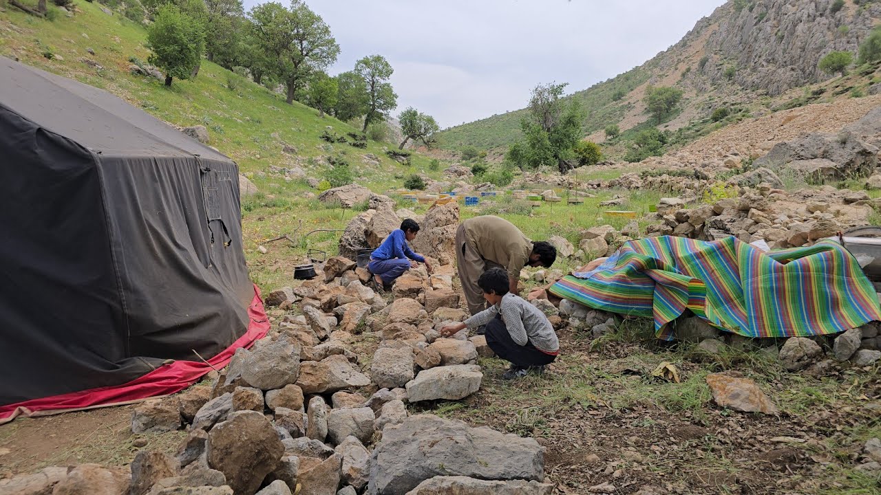The real life of nomads in cold regions and the life of Mohsen's family