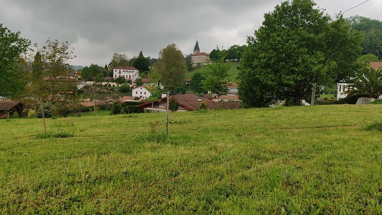Ambiance sonore - bruits d'oiseaux - bruit de village