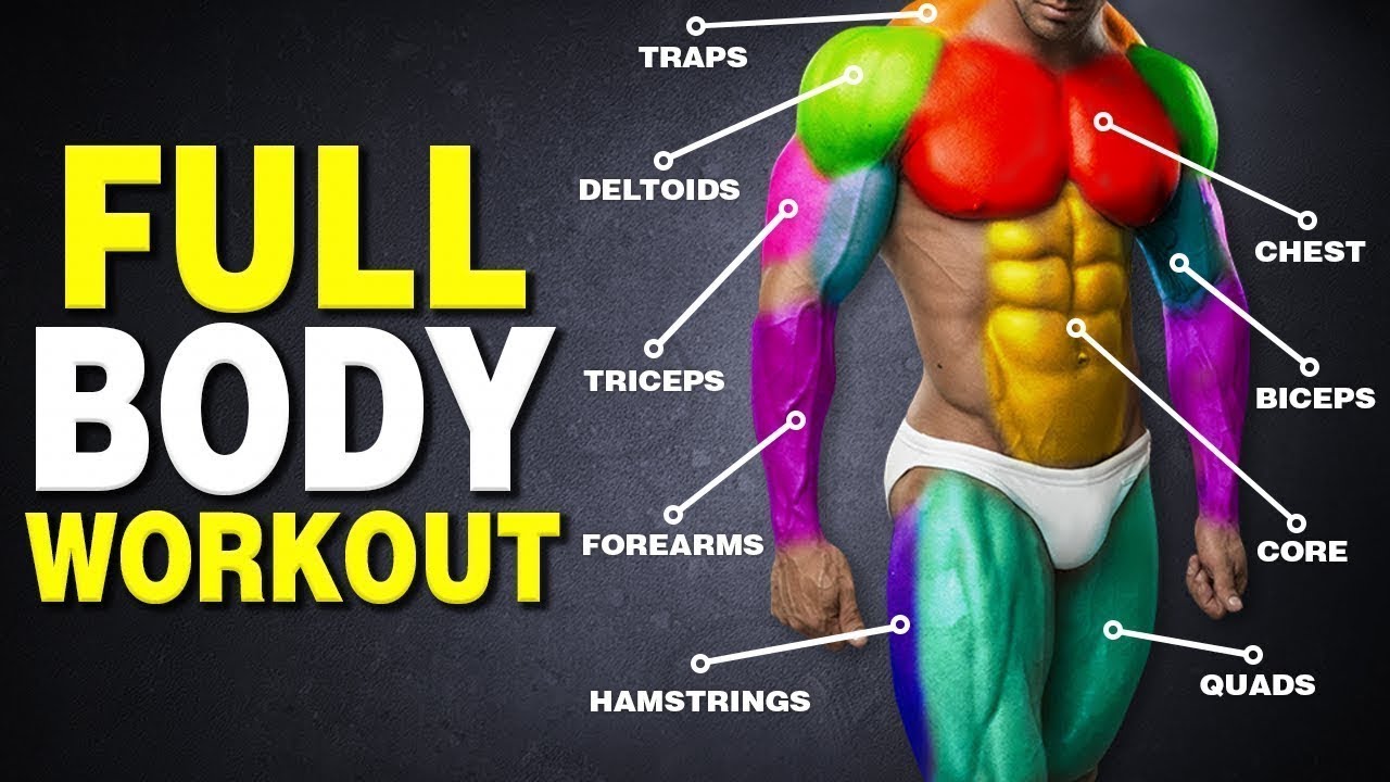 TOP 5 FULL BODY-WEIGHT WORKOUT / MUSCULATION AU POIDS DE CORPS COMPLET
