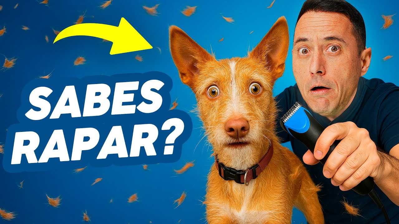 5 ERRORES LETALES al RAPAR a TU PERRO
