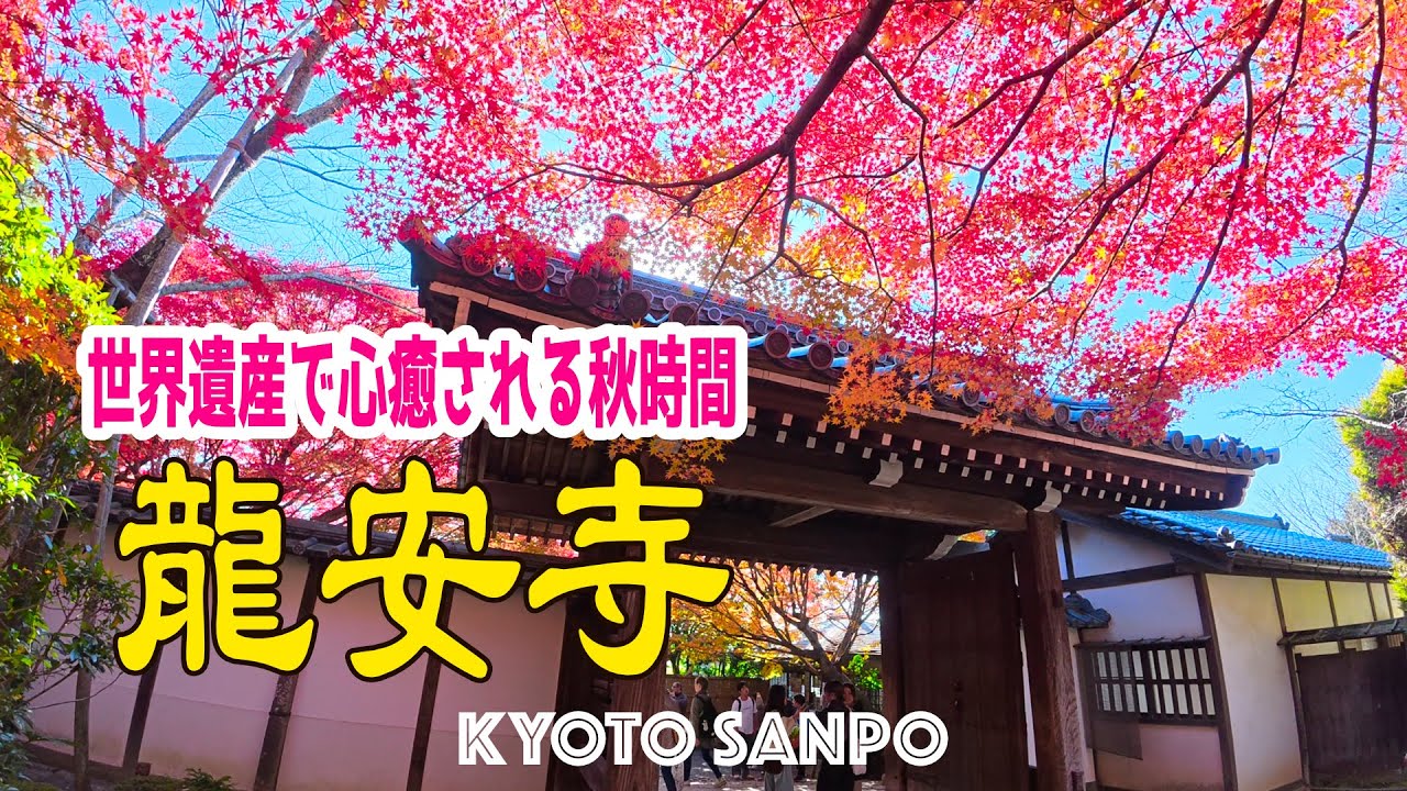2025/11/30 🍁感動のカラフル紅葉!!🍁 世界遺産『龍安寺』秋晴れの絶景に感動 心が満たされる癒しの秋時間 /秋の京都/秋さんぽ/Kyoto walk [京都4K]