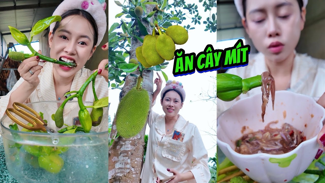 Cây Mít Non Ăn Được Hả Ta !!!