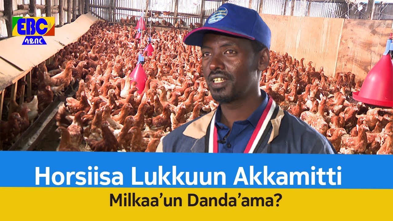 Horsiisa Lukkuun Akkamitti Milkaa’un Danda’ama?