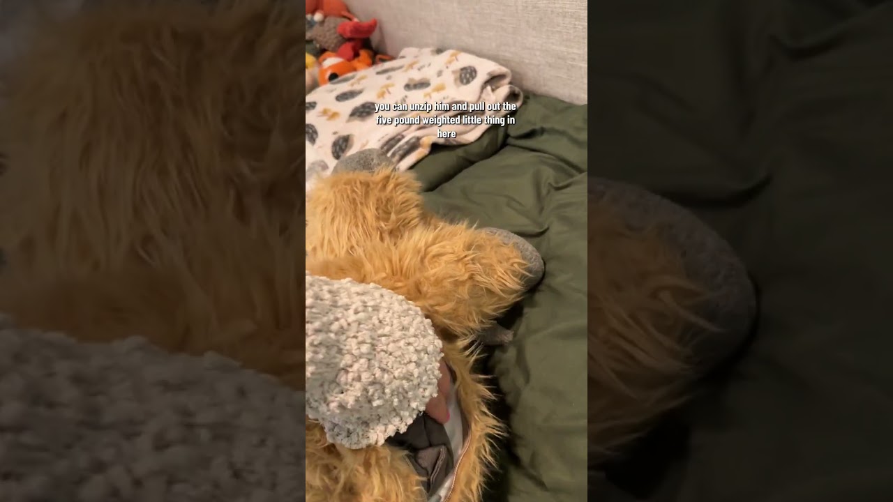 This weighted highland cow is my toddlers FAVOROTE stuffed animal and I can&rsquo;t believe it&rsquo;s finally