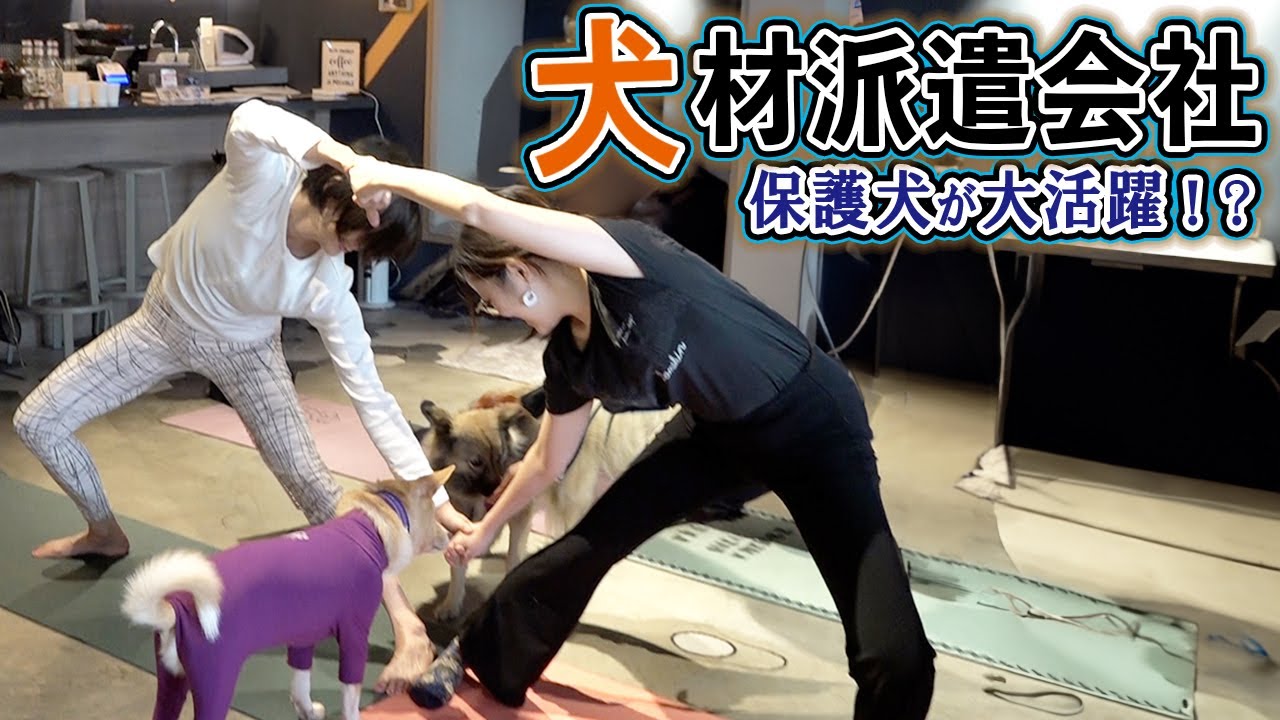 １頭でも多くの保護犬を救いたい！犬材派遣会社に密着