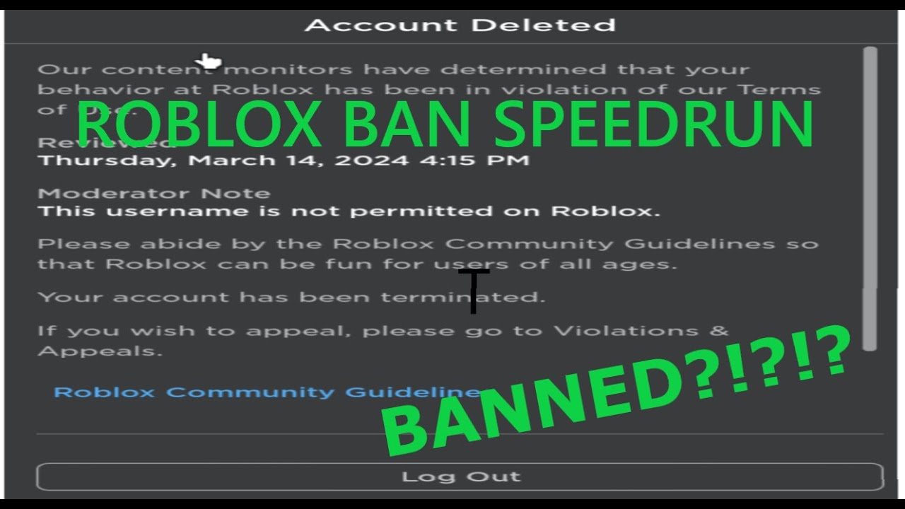 Roblox Ban Speedrun (TERMINATION)
