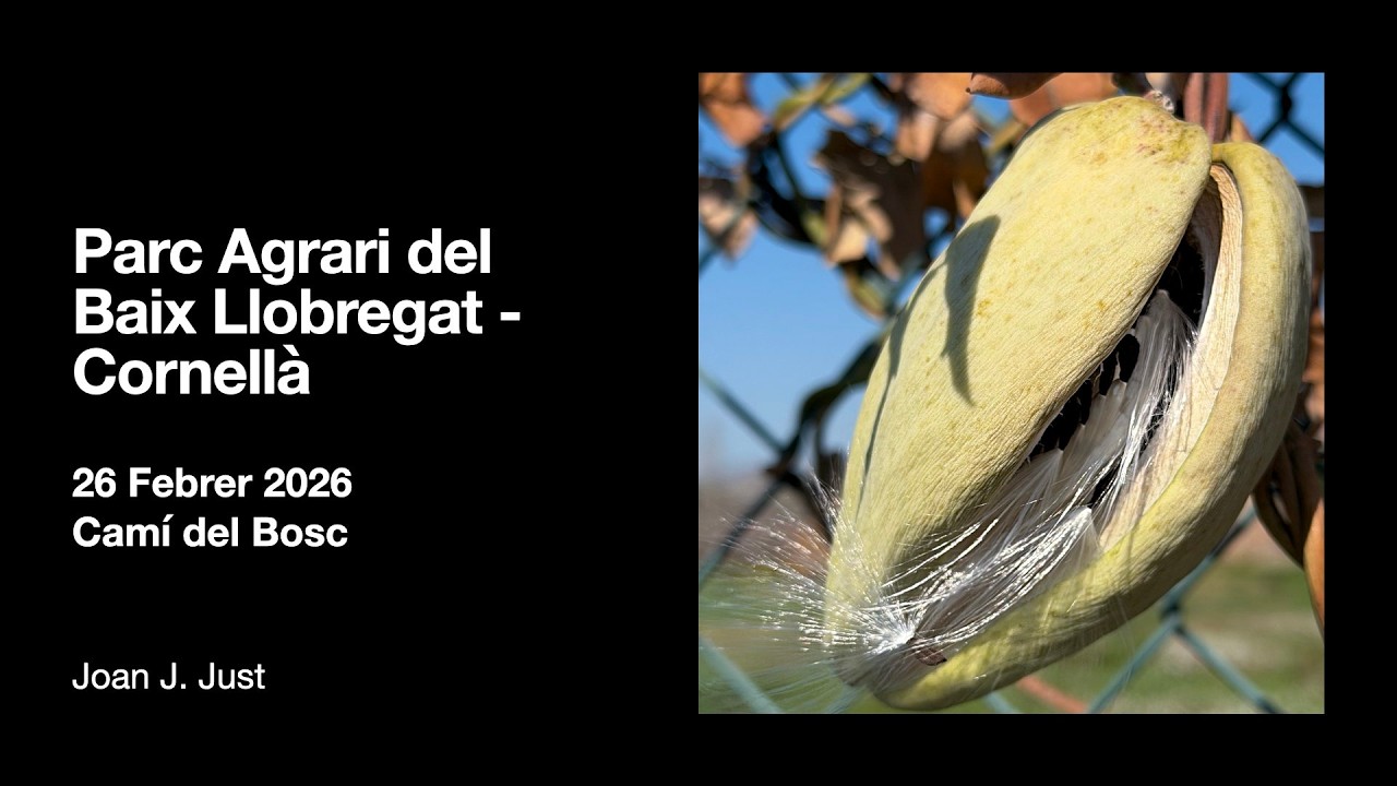 2026-02-26 - Parc Agrari Baix Llobregat - Cornellà