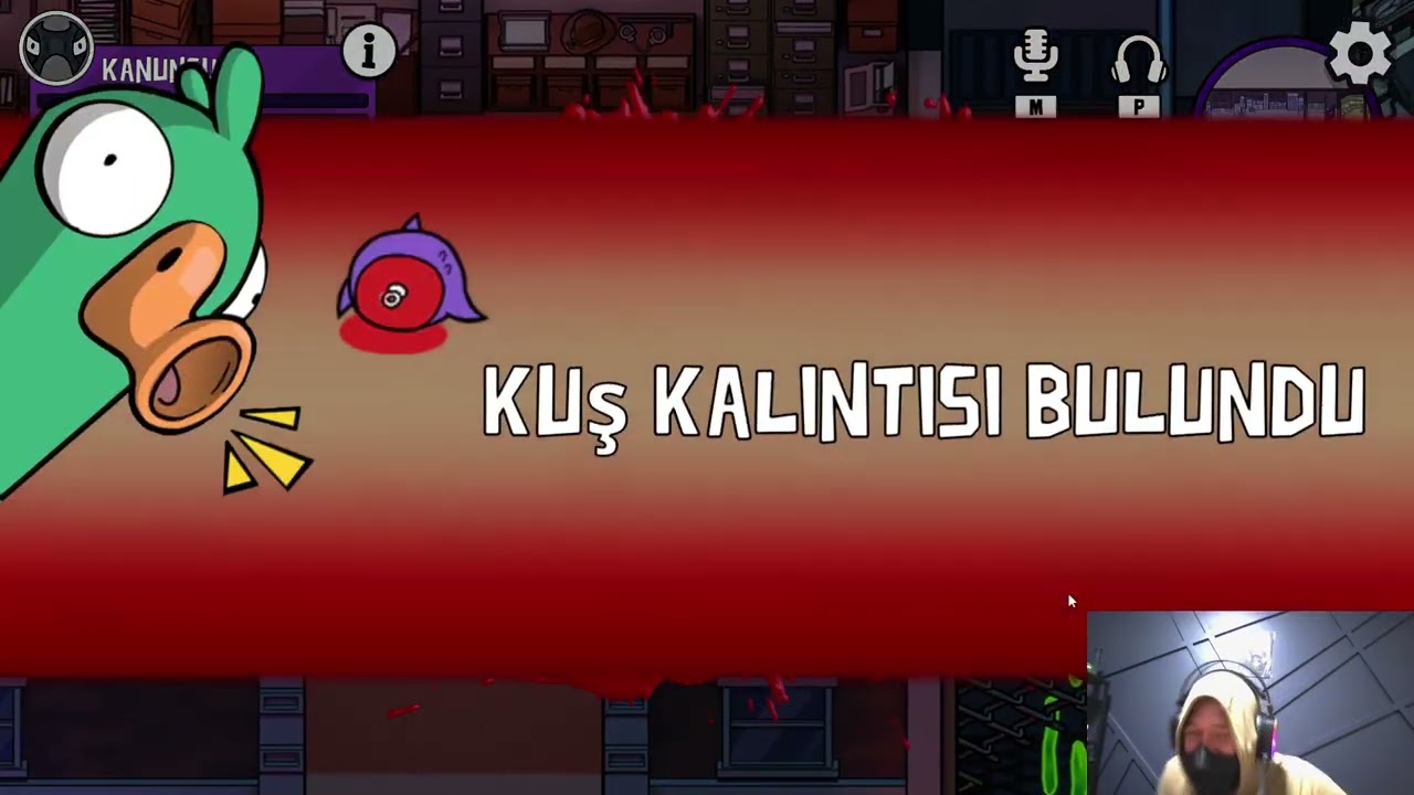 Ördek Şov