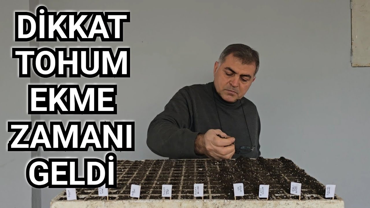 Tohum Nasıl Ekilir, Domates, Biber, Patlıcan #atatohumu #tohum #domates #biber #patlıcan