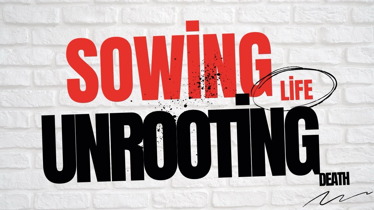 Unrooting rejection and condemnation |Anderson Munhoz|