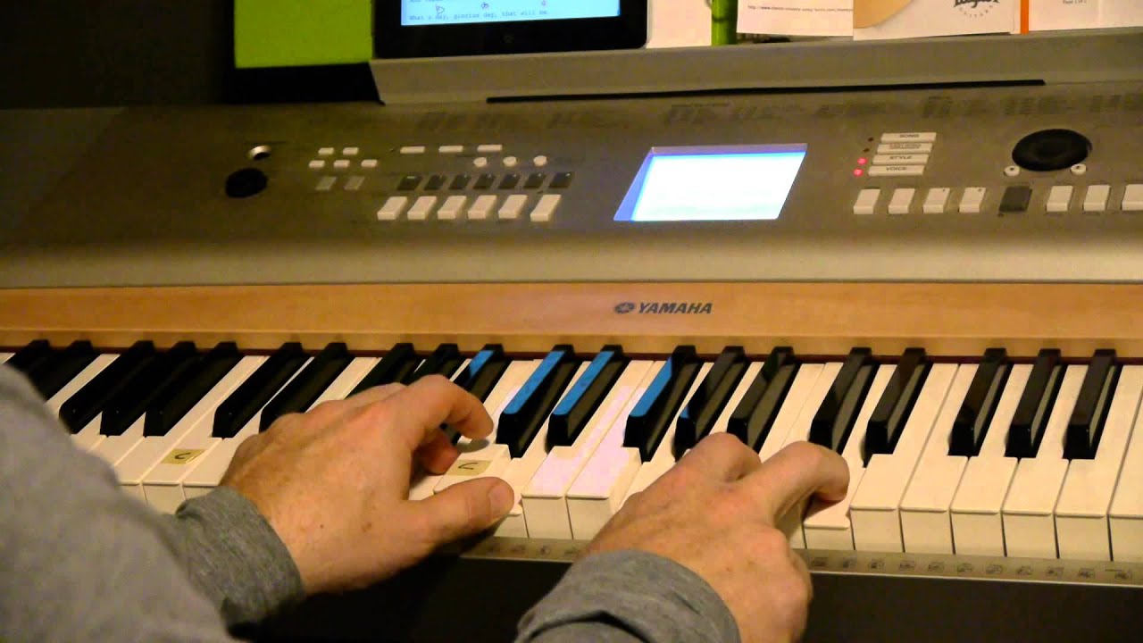 Easy-to-Play Piano 