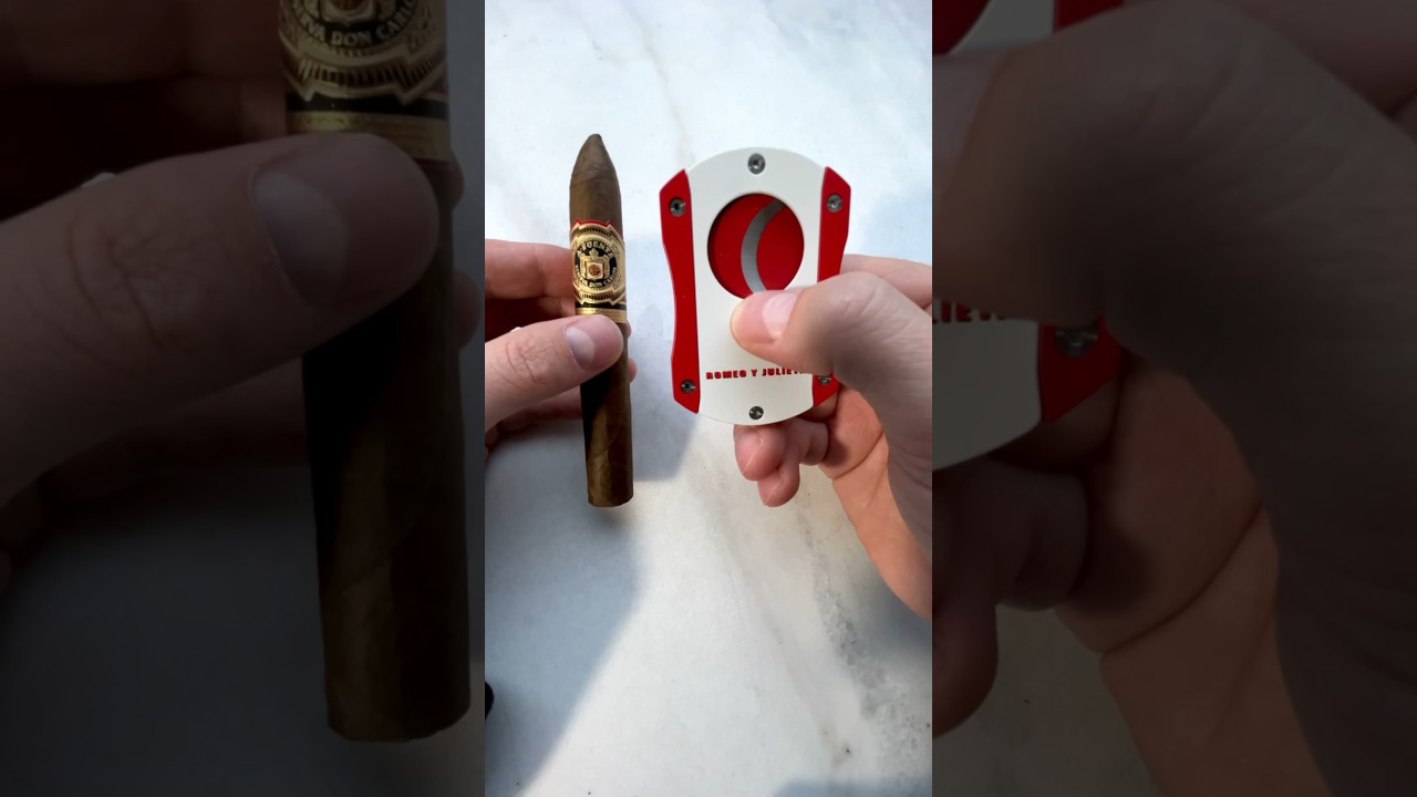 🎁🎄PERFECT HOLIDAY GIFT ARTURO FUENTE CIGAR 🔥🍂💨 #cigar #asmr