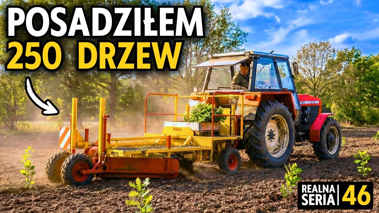POSADZIŁEM WIELKI LAS 🔥 Polanki #46